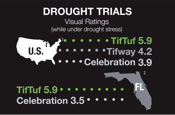 drought trials