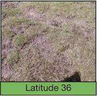 latitude 36