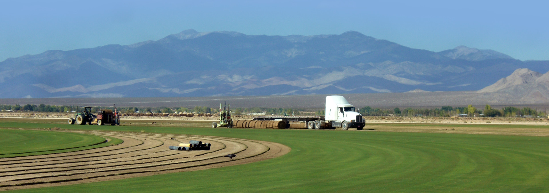 Valley Sod Farms Commercial and Residential sod company