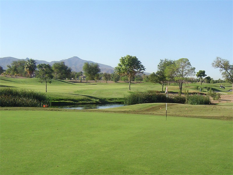 Wildhorse Putting Green Las Vegas - Tifgreen 328 Sod Installation - Valley Sod Farms