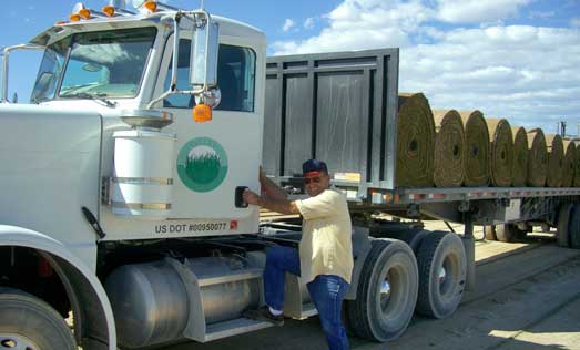 Sod and Ground Cover Delivery Las Vegas