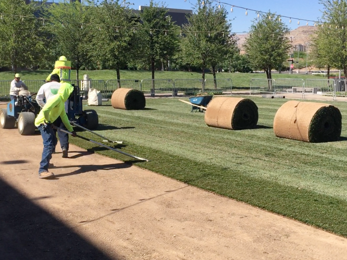 Fresh Sod Las Vegas