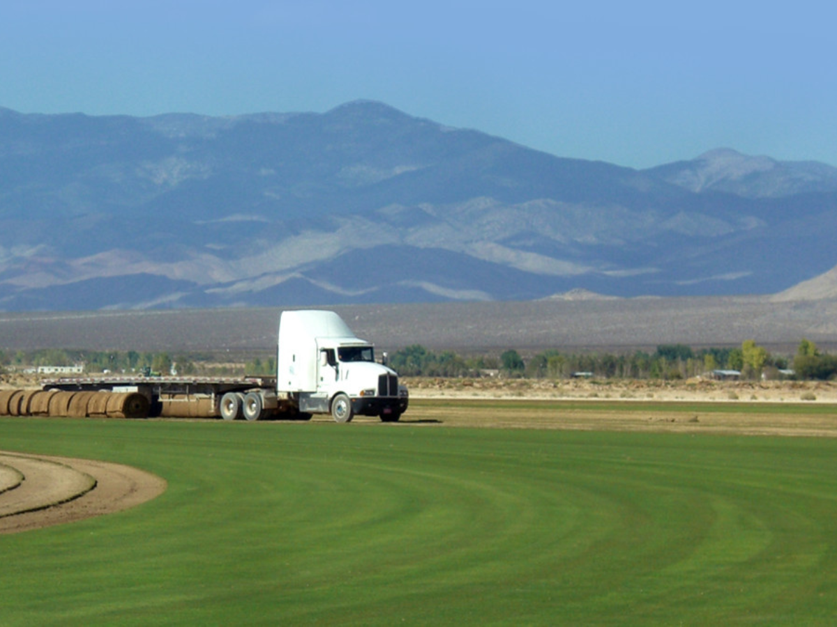 Las Vegas Sod Farm