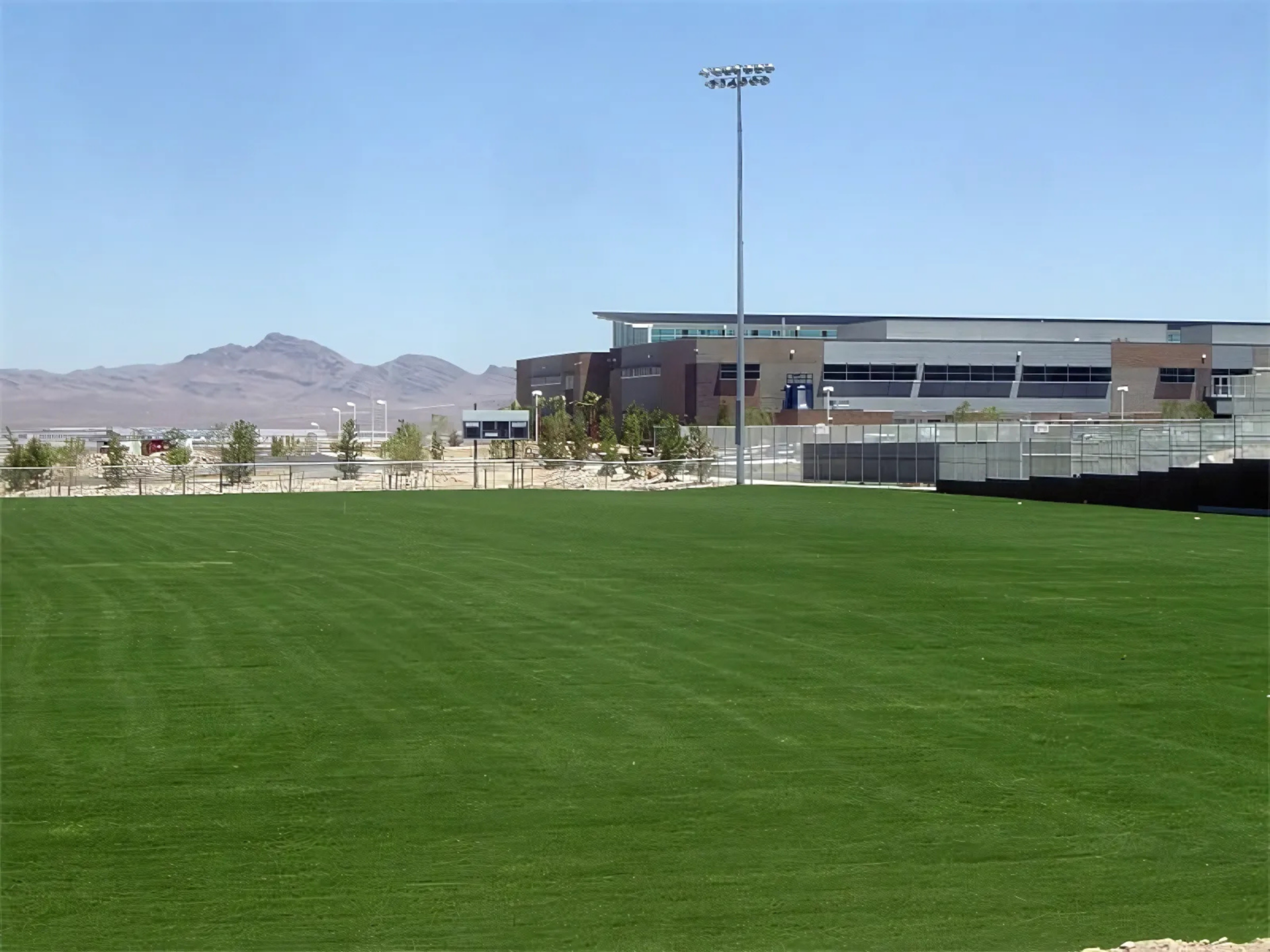 Tifway II Residential and Commercial Sod Las Vegas