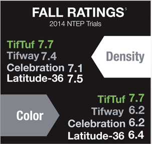 Tiftuf Density Studies