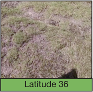 latitude-36