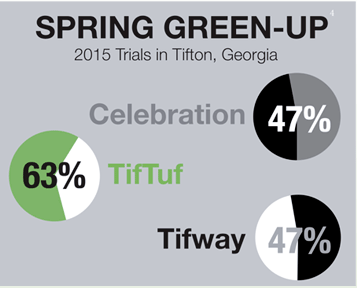 Tiftuf Chart Spring Green Up