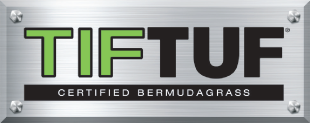 tiftuf-logo