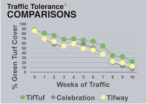 Tiftuf Foot Traffic Graph