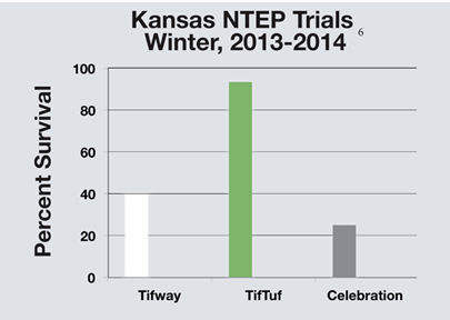 Tiftuf NTEP Trials