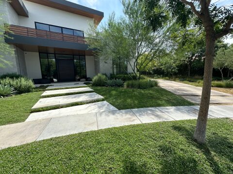 kurapia ground cover las vegas